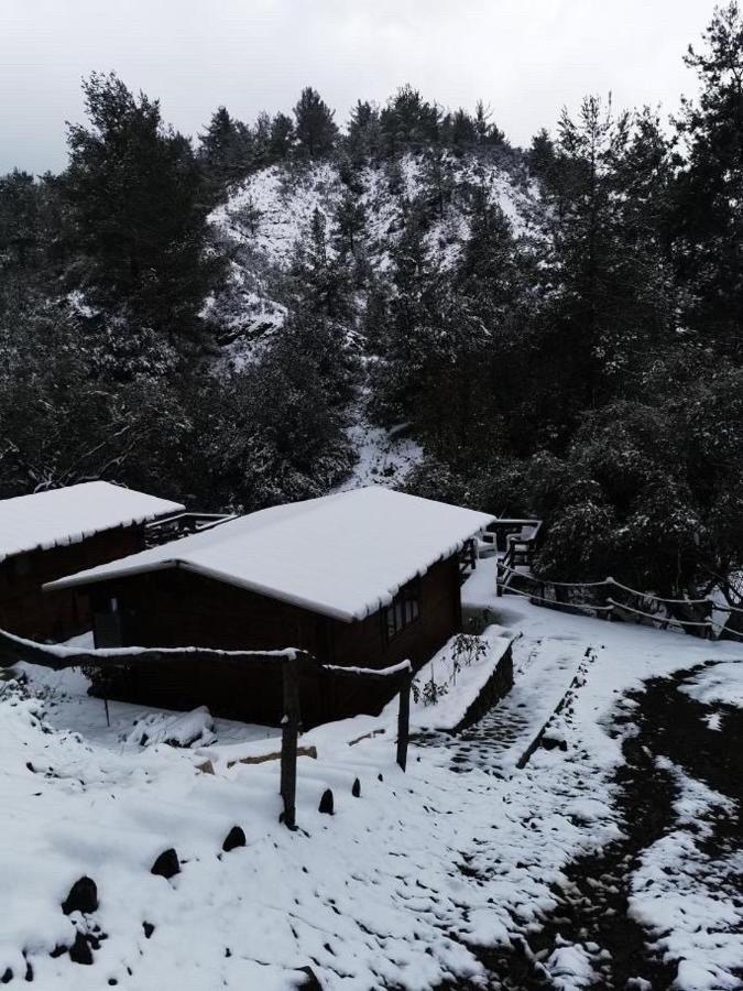Bosco Paradiso Limasol Buitenkant foto