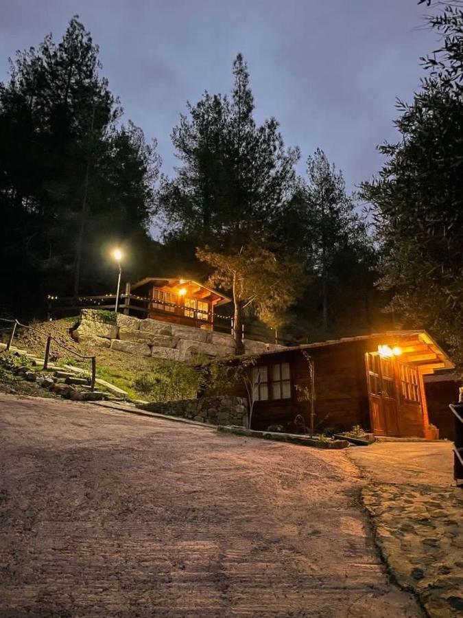 Bosco Paradiso Limasol Buitenkant foto