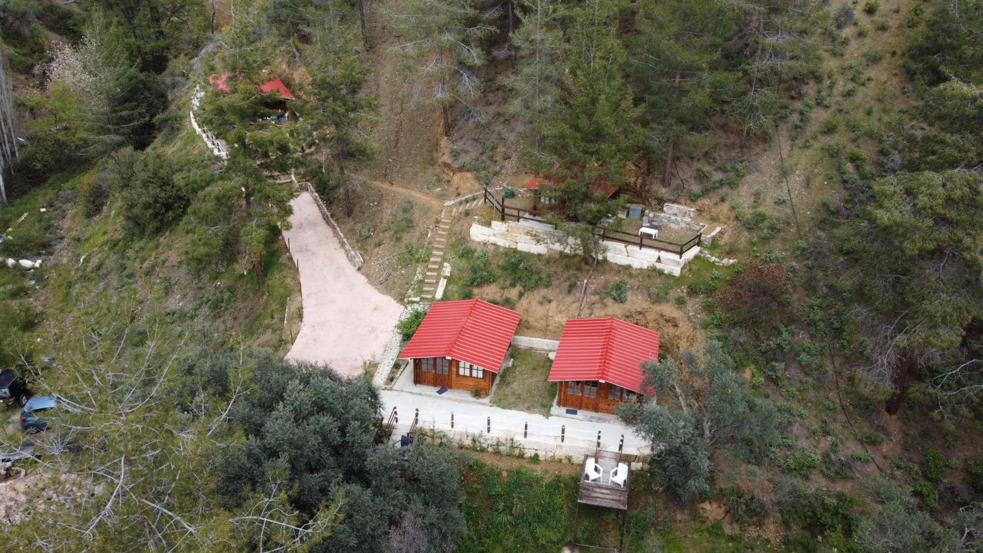 Bosco Paradiso Limasol Buitenkant foto